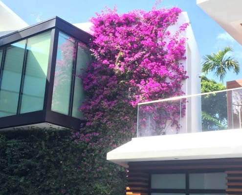 LaGorce Island - Miami Beach - Lancescape Miami