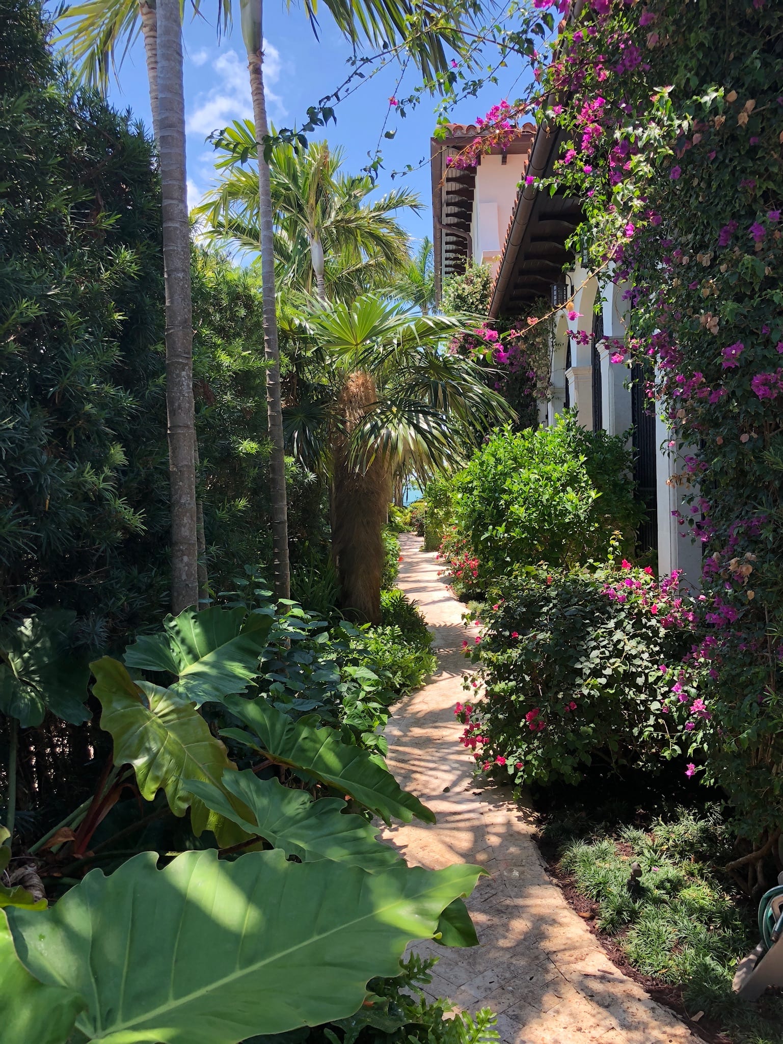 Landscape Projects - Lancescape Miami