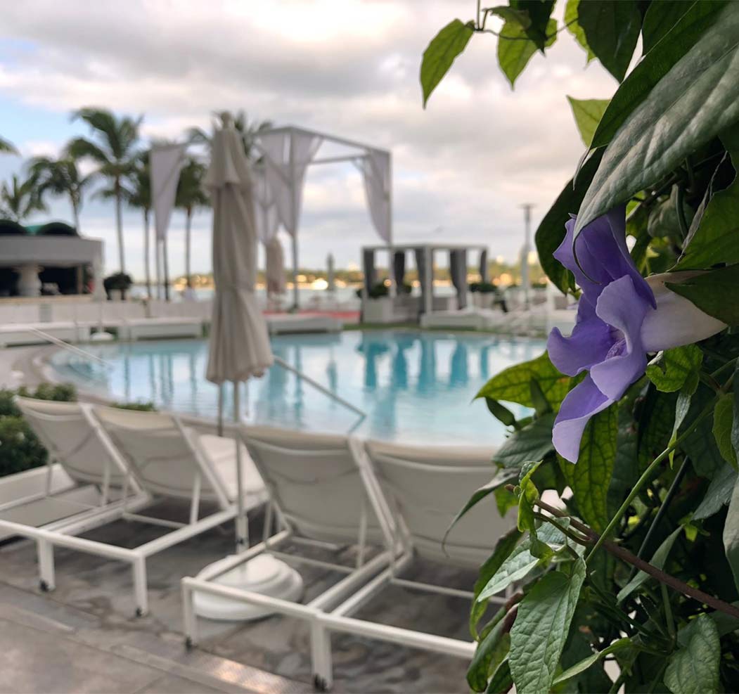 Commercial Landscape Design in Miami