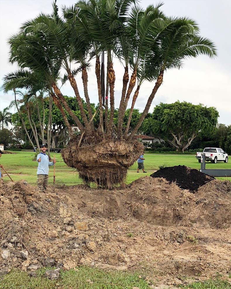 Landscape-Design-Company Miami-Lancescape-Miami