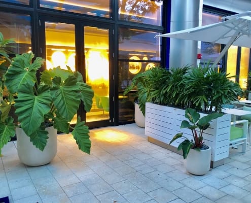 L’ATELIER de Joel Robuchon - Lancescape Miami 4